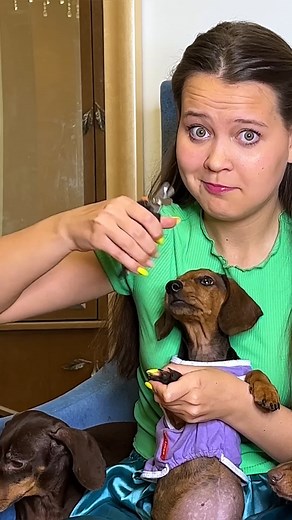 NOW IT'S CLEAR WHERE THE CRYING COME FROM...🐶 #KidsFun #FamilyTime #KidsActivities #CreativeKids #PlayfulMoments #EducationalFun #FamilyFun #KidsCrafts #HappyKids #LearningThroughPlay | Funfammedia