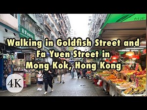 Walking in Goldfish Street & Fa Yuen Street｜Hong Kong [4K]