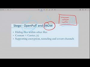 Understanding Steganography: The Art of Hiding Information in Plain Sight
