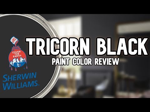 MY FAVORITE BLACK PAINT COLOR | Sherwin Williams Tricorn Black
