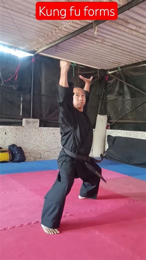 kung fu forms #shortvideo #kungfu #trendingshorts#youtubeshorts #youtubevideo #kungfu #martialarts