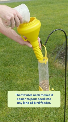 How to Fill a Bird Feeder Without Making a Mess