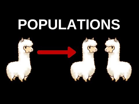 CS50 Lab 1 - Populations Walkthrough (Step by Step Walkthrough for Beginners)