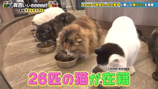 【中嶋優月】【谷口愛季】有吉ぃぃeeeee！～そうだ！今からお前んチでゲームしない？ 【マイクラ】（秘）重大発表＆新ビル構想！？M1戦士VS櫻坂46