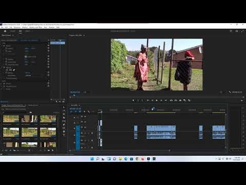 How to use Premiere Pro (beginners lesson)