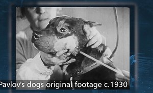 Sorry, we have encountered a problem. - Alexander Street, a ProQuest Company