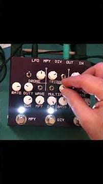 Exploring the MTL Purpll (excerpt 2 of 3)