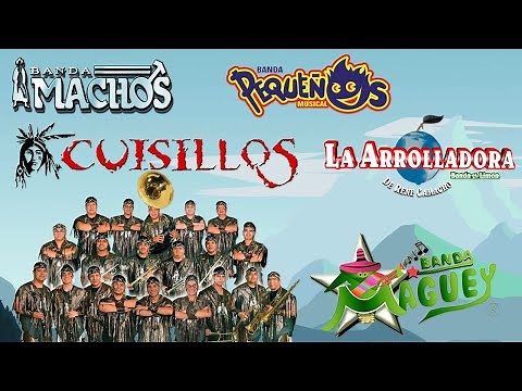 Bandas Viejitas Pero Bonitas Movidas Mix 2023 - Banda Machos, Cuisillos, Maguey, Pequeños Musical