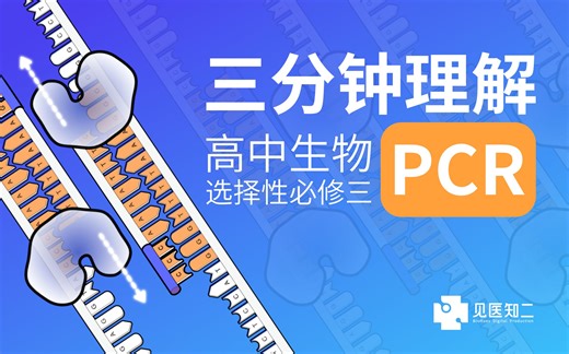 【三分钟理解】 PCR - 聚合酶链式反应