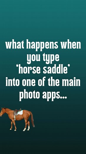 1.9K views · 54 reactions | Photos of horses in ill fitting tack is...