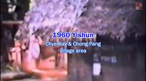 18K views · 236 reactions | Everything within this video is beyond recognition from the present day. Village houses, wayang stage and mud roads. Another part of the old Singapore. | The Merlion Press | Facebook