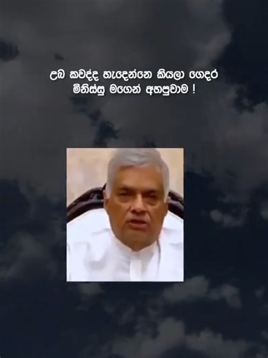 #onthisday #SLPODI #creatorsearchinsights #catfunny #catlover