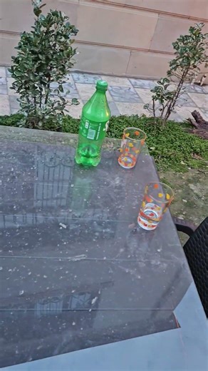 JBL encore 2 outdoor barbikyu