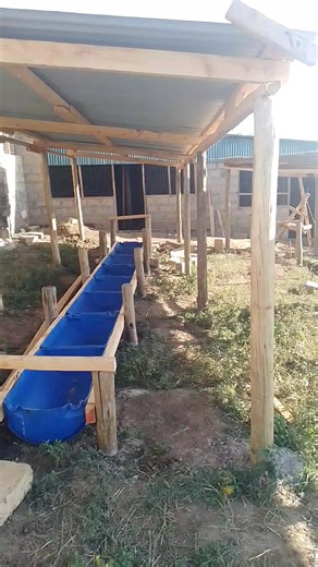 33K views · 542 reactions | Affordable sheep feeders | African Farm Resource Centre | Facebook