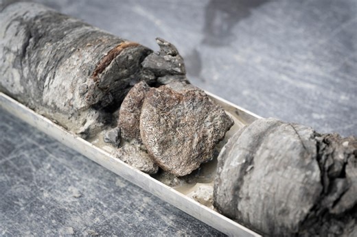 70 million-year-old dinosaur fossil found beneath Denver museum’s parking lot