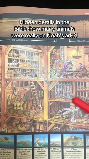 The Hidden Details of Noah's Ark: Animals Counted