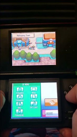 R4 Card on Nintendo DS! | Mikeinoid