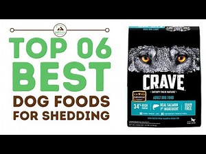 Best Dog Foods for Shedding
