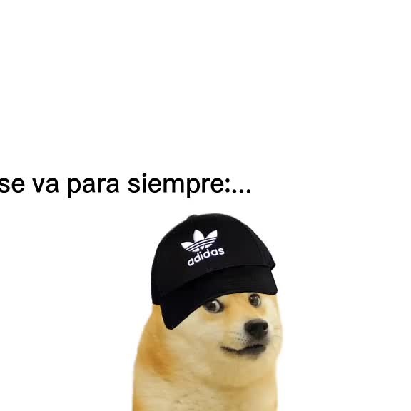 #CapCut sería muy sad la verdad xd #humor #hilosconcheems #fyp #foryou #parati #tiktok #hilos #xd #mrincredible #mrincrediblememe