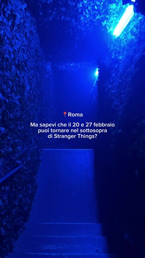 Prenota ora📲 Chiama per riservare la tua partita Vieni a giocare da noi🔫 📍Xcalibur Laser Game - Roma ✨Via Tripoli 147 C/F 📞3315039009 #lasergame #lasertag #roma #xcaliburlasergame #dopocenaroma