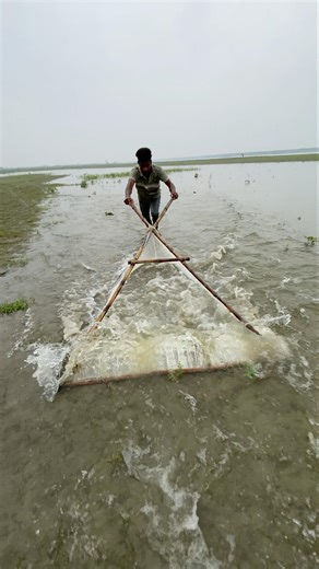 Catching Fish Made Easy #fishspecies #fish