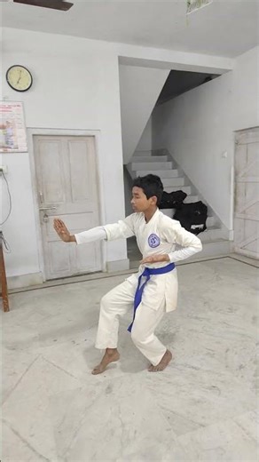 basic trening for kata and nekoasi dachi #shortvideo #shorts #karate