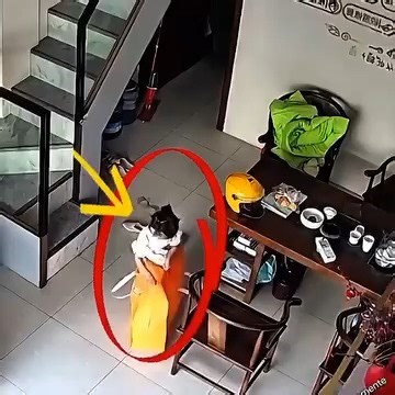 1.4M views · 12K reactions | Se metió en una bolsa de compras y la cerró, por esta razón no hay que descuidar a los niños | Mi Vida Intensamente | Facebook
