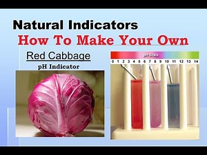 How To Make Your Own Natural Indicator Using Red Cabbage I Grade 7 Science - Acids and Bases