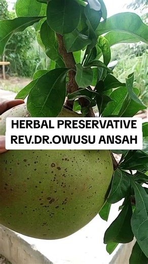 Herbal Preservative Insights from Rev. Dr. Owusu Ansah
