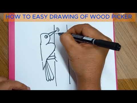 How to Draw Nice Woodpecker