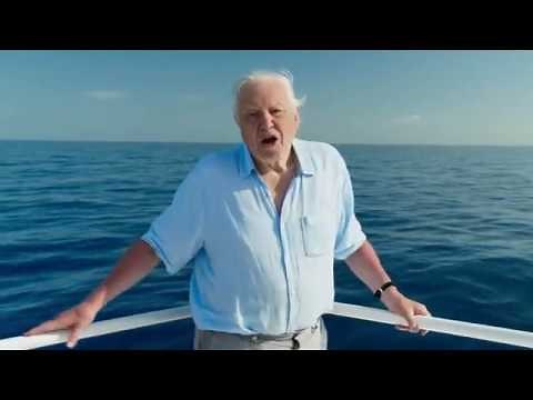 Blue Planet II Opening Intro Titles Episode 1 (HD)