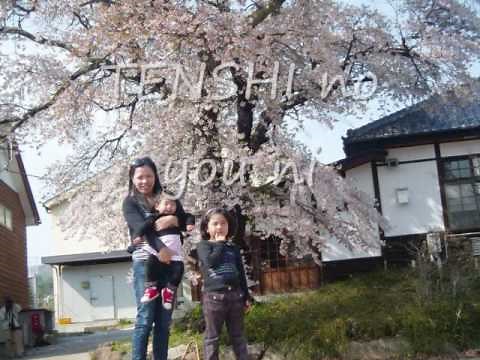 Watashi dake no tenshi ~Angels~w/lyrics Matsuda Seiko
