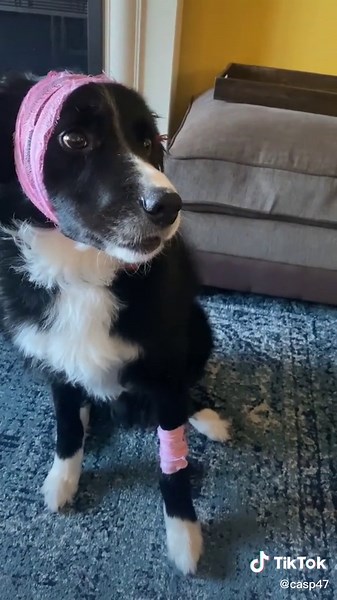 Firework Safety for Kids: A Cautionary Tale