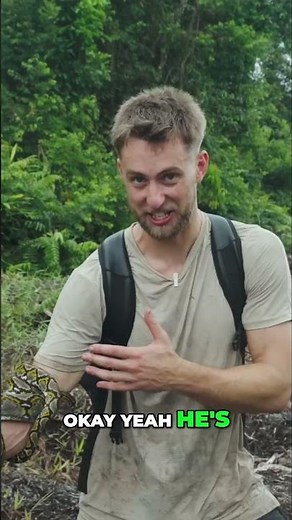 Python Squeezes Arm Until Veins Pop! #shorts