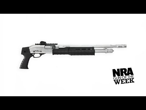 NRA Gun of the Week: Iver Johnson PAS12