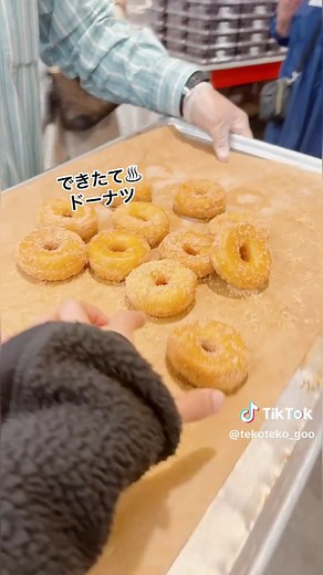 コストコ試食の楽しみと絶品フード