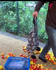 68K views · 635 reactions | While other strangers ignored them or took them away | Fabiosa Life Stories | Facebook