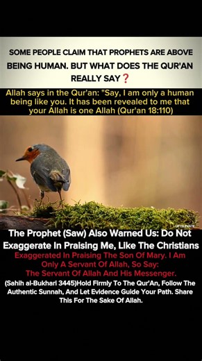 Are Prophets Human? What the Qur'an and Sunnah Really Teach