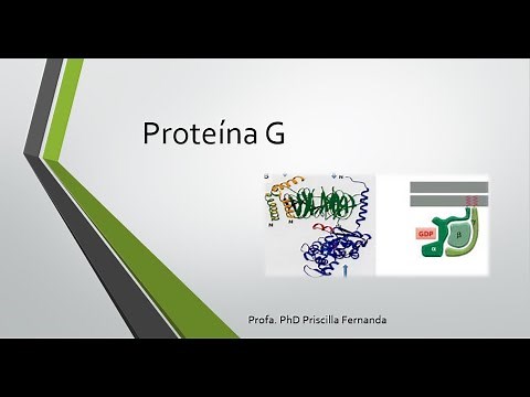 Proteína G