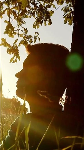 Autumnal Visualisation