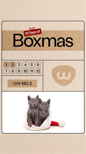 🎄 12 Days of Boxmas | Day 2 🎄Screenshot to see if your cat made the Naughty or Nice list 👀✨Tell us your result here… but to officially enter the giveaway, make sure you comment on today’s post on Instagram!Enter on IG → @thelitterrobot @WhiskerBecause naughty or nice… they all still get spoiled. 😼🎁No purchase necessary. Giveaway to run December 1st through December 12th, 2025. The Promotion is open only to legal residents of the 50 United States and the District of Columbia, who are at leas