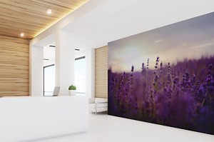 Healthcare Wallcoverings Collection - Newmor Wallcoverings