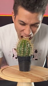 1.6M views · 7.6K reactions | Most Popular Shorts Compilation! | PrestonPlayz | Facebook