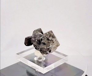 Herkimer Diamond Scepter Diamond Mountain Little Falls, NY 15 grams 4.5 x 2.5 x 1.8 cm Available for 5️⃣5️⃣0️⃣ A one of a kind treasure brought to life here from our mountain. Hydrocarbon included tabular crystal at one end. A bold contrasting clear, multi-terminated growth on the other. Covered in elestial growth makes for so many flashy faces. An outstanding example of these highly prized crystals. | Diamond Mountain Mining, LTD