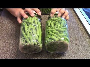 Dry Canning Raw Pack Green Beans-- Dry Canned Green Beans-- Rebel Canning-- Non Traditional Method