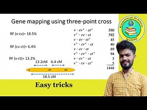 Genetics || Gene Mapping using three-point cross | Easy tricks and concepts