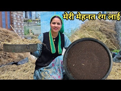 गाँव आकर फिर बन गई किसान🤗|| Preeti Rana||Pahadi lifestyle vlog||Triyuginarayan ‪@PriyankaYogiTiwari‬