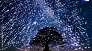 Timelapse of star trails swirling above a solitary tree under a vast, dark night sky, creating a stunning cosmic effect. video Stock Video