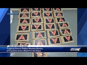 Hurricane Debby washes blocks of cocaine onto Florida beach