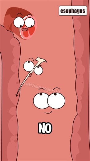 Sophia Smith on Instagram: "What happens when a fishbone gets stuck in your throat? #throat#fishbone#funny#hot#animation#short If a fishbone is stuck in your throat, stop eating immediately and avoid swallowing. Try coughing lightly to see if it dislodges. If the fishbone is shallow and visible, have someone carefully remove it with tweezers. If the fishbone is deep, or if there is significant pain or difficulty swallowing, do not attempt to remove it yourself. Go to an ENT specialist immediatel